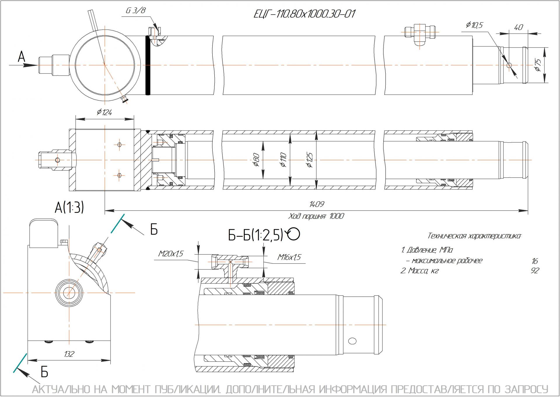 ЕЦГ-110.80х1000.30-01 Гидроцилиндр