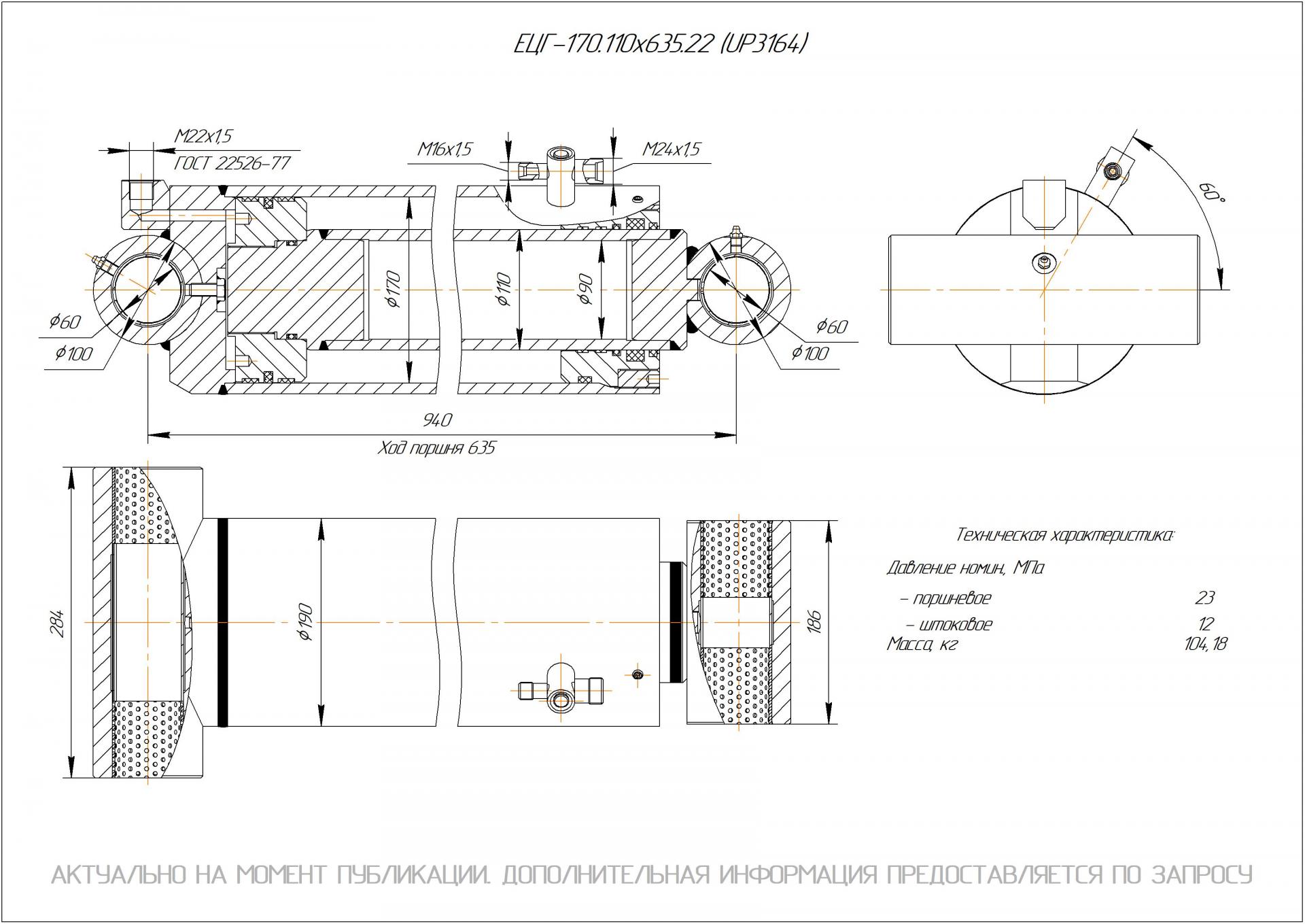 ЕЦГ-170.110х635.22 Гидроцилиндр