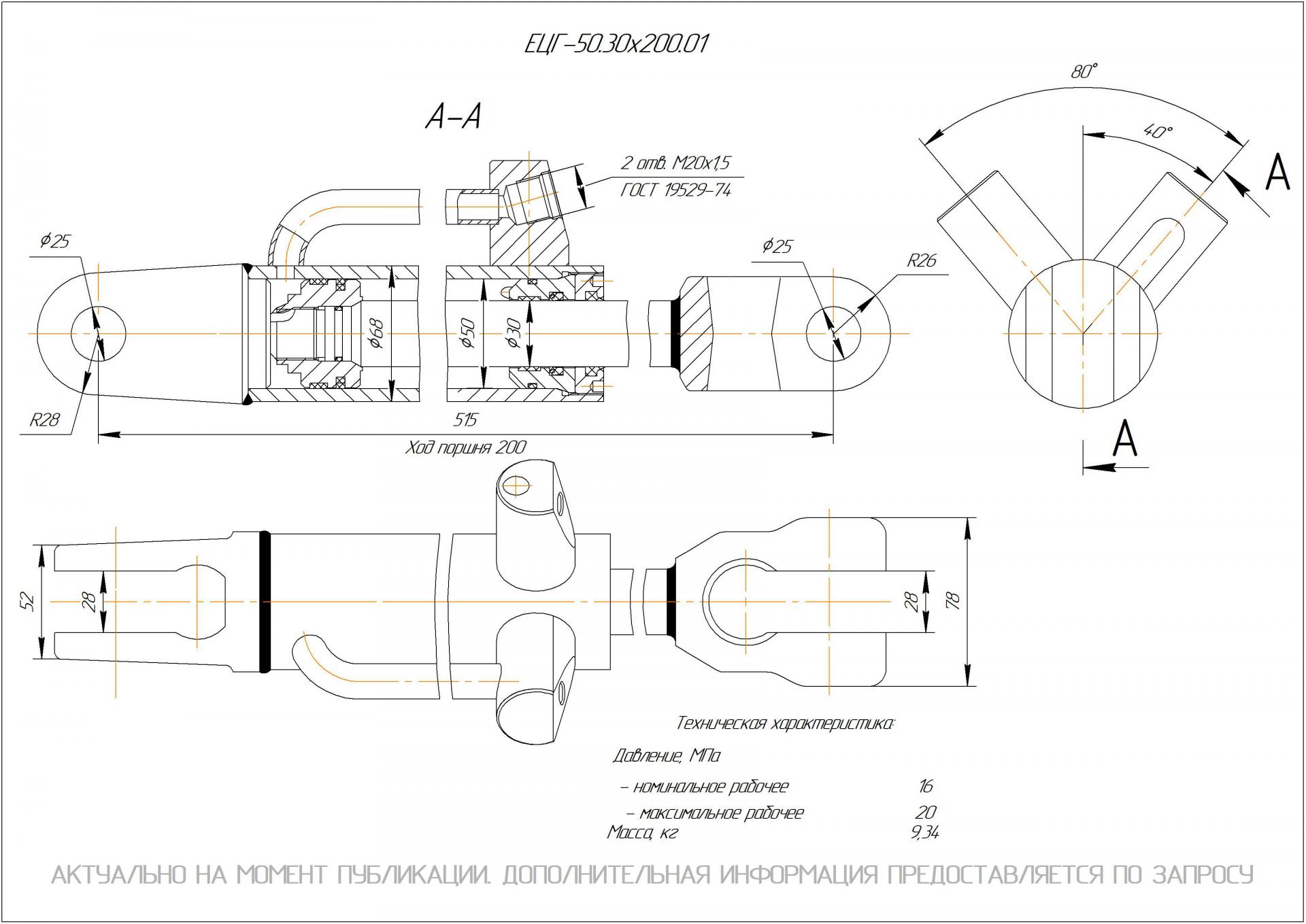 ЕЦГ-50.30х200.01 Гидроцилиндр