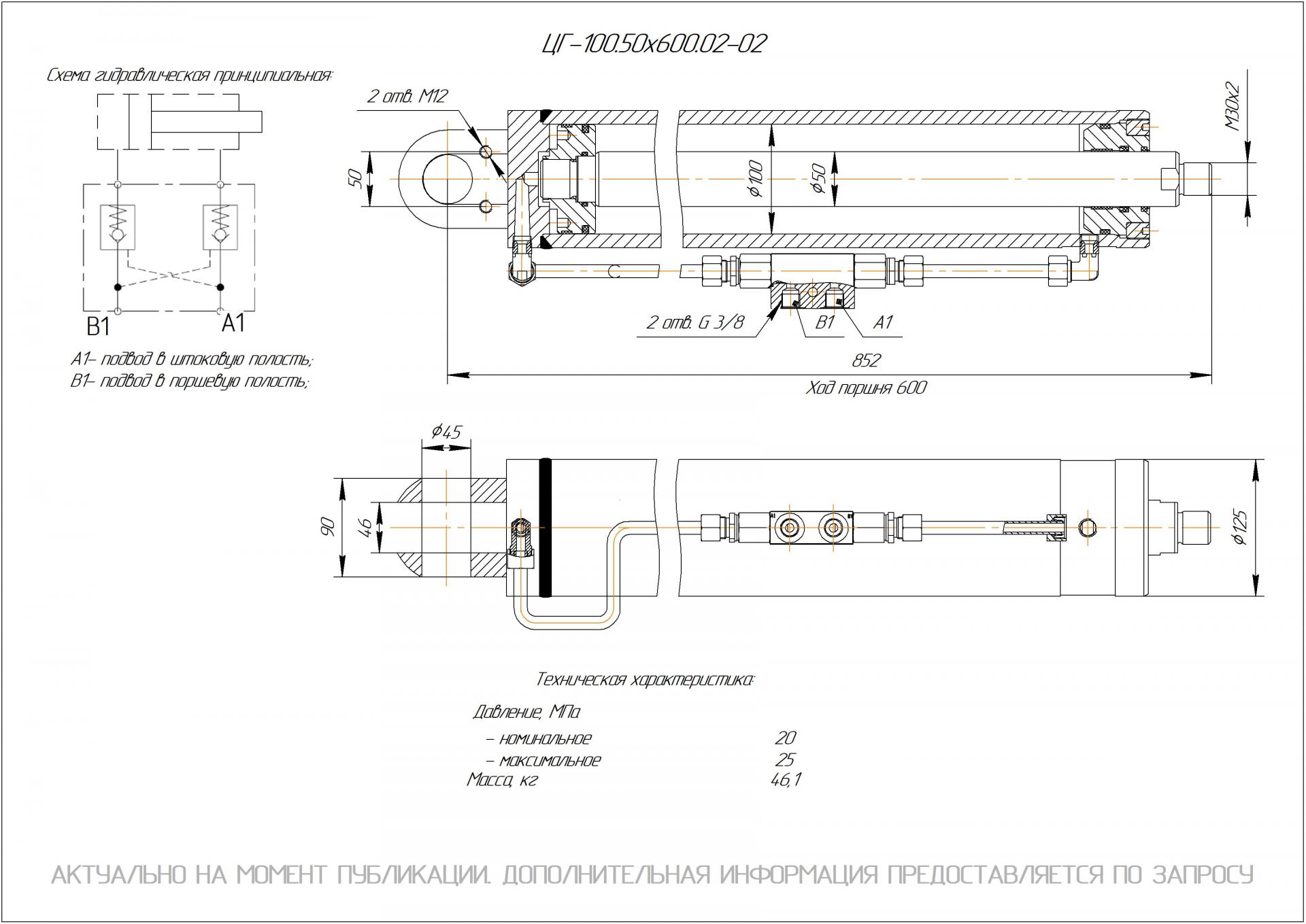 ЦГ-100.50х600.02-02 Гидроцилиндр