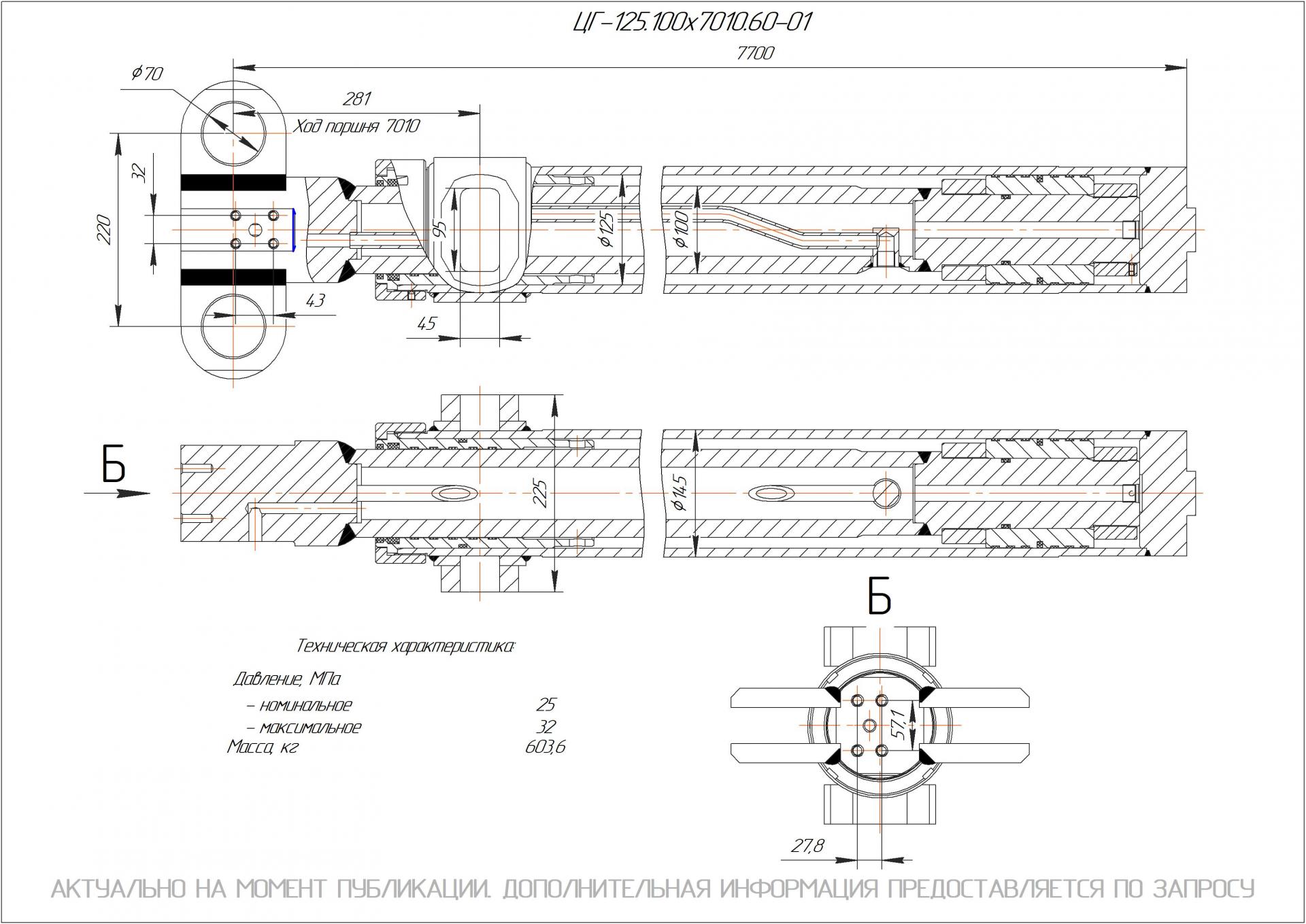 ЦГ-125.100х7010.60-01 Гидроцилиндр