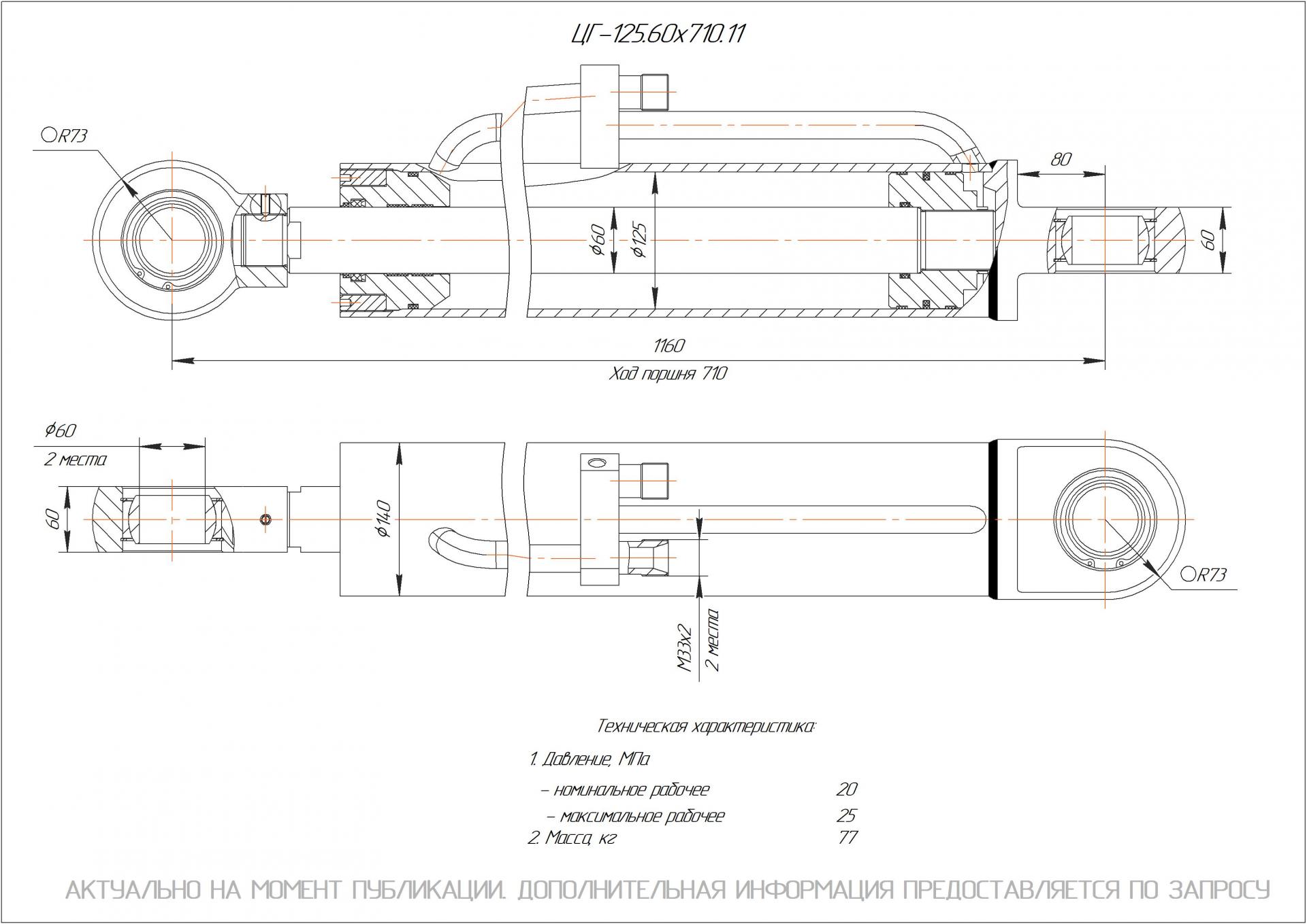 ЦГ-125.60х710.11 Гидроцилиндр