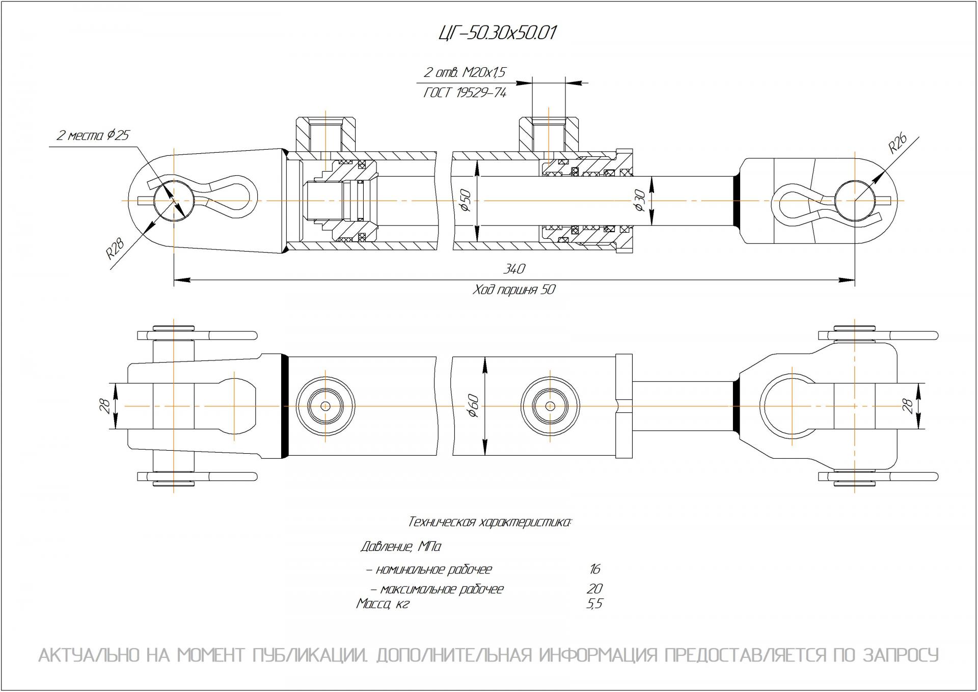 ЦГ-50.30х50.01 Гидроцилиндр