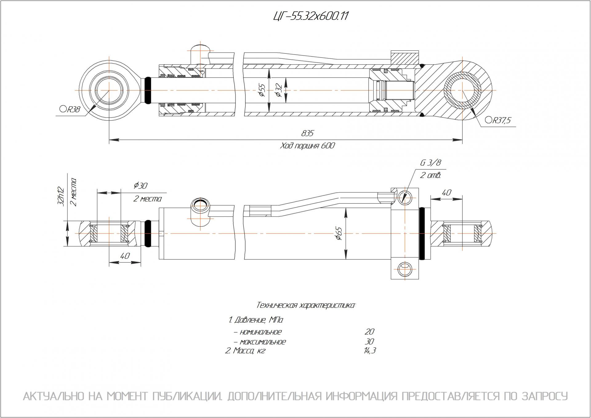 ЦГ-55.32х600.11 Гидроцилиндр