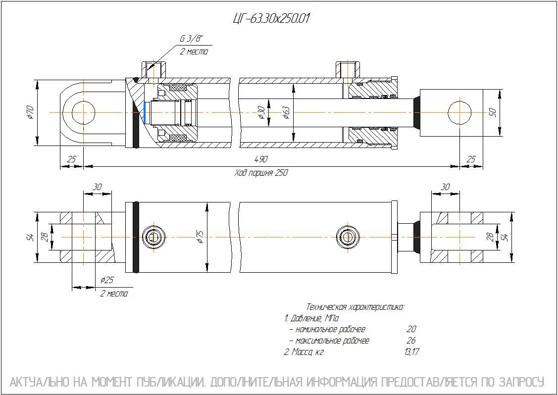 ЦГ-63.30х250.01 Гидроцилиндр