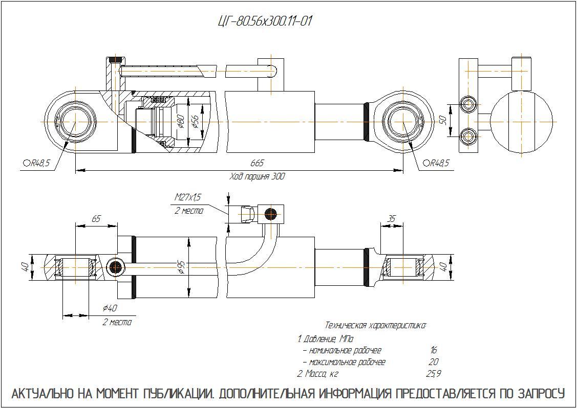 ЦГ-80.56х300.11-01 Гидроцилиндр